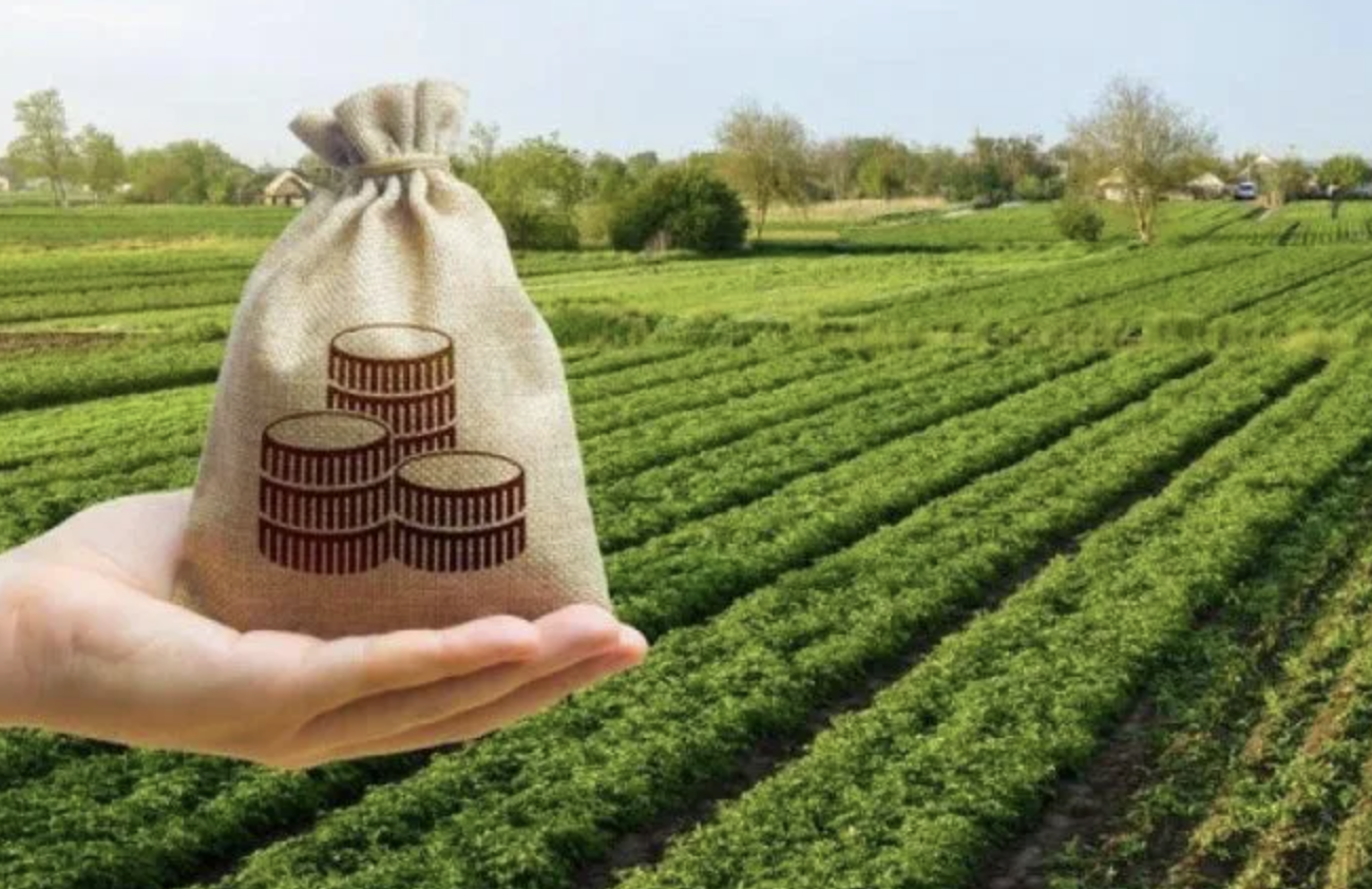 Державна підтримка аграріїв у 2026 році: можливості, програми та юридичні нюанси